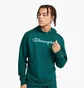 Худи мужское Champion Powerblend Fleece Green HBGF89H-CHA