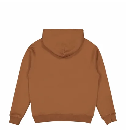 Худі чоловіче Air Jordan Wordmark Fleece Hoodie Brown FJ1966-281