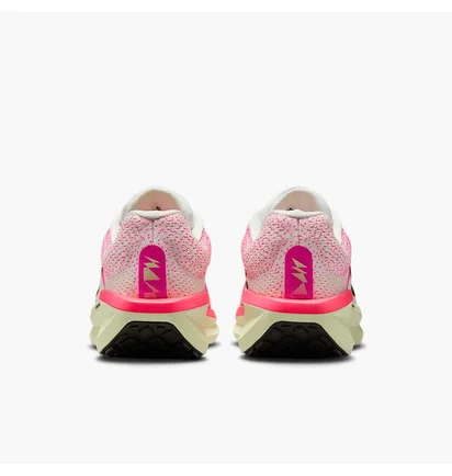 Кросівки жіночі Nike Winflo 11 Pink IB7326-100