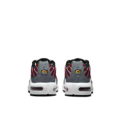 Кросівки дитячі Nike Air Max Plus Gs Bordo/Grey CD0609-602