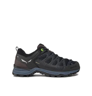Кроссовки мужские Salewa Ms Mtn Trainer Lite Gtx Gore-Tex Black 61361-0971