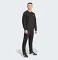 Штаны мужские Adidas Trefoil Essentials Black IY7361