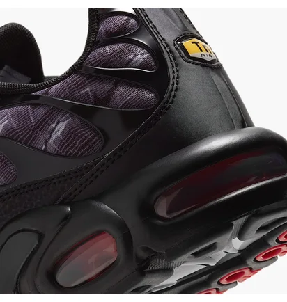 Кросівки чоловічі Nike Air Max Plus Grey/Black DJ0638-001