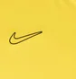 Футболка мужская Nike Dri-Fit Academy 24 Yellow DR1336-719