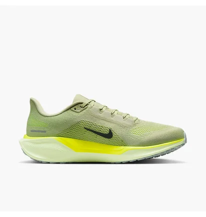 Кроссовки мужские Nike Air Zoom Pegasus 41 Green FD2722-303