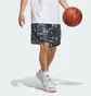 Шорты мужские Adidas Crazy Lite Aop Multi JN2460