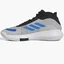 Кросівки унісекс Adidas Bounce Legends Grey IE9280