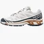 Кросівки чоловічі Salomon Xt-6 White L47136600