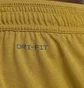 Шорты мужские Nike Dri-Fit Stride Running Division 4 Brief-Lined Running Shorts Yellow FB6870-716