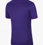 Футболка мужская Nike Dry Park Vii Ss Violet Bv6708-547