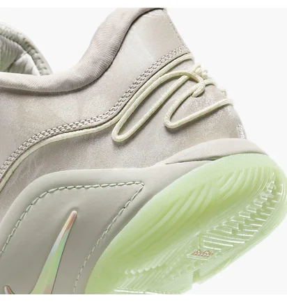 Кроссовки мужские Nike Lebron Xxii Beige FZ1094-002