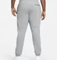 Штани чоловічі Nike Sportswear Club Fleece Grey BV2737-063