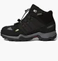 Ботинки детские Adidas Terrex Mid Gore-Tex Black BB1952