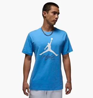 Футболка мужская Nike Jumpman Flight Blue AO0664-469