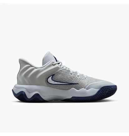 Кросівки чоловічі Nike Giannis Immortality 4 Grey FQ3680-008