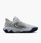Кросівки чоловічі Nike Giannis Immortality 4 Grey FQ3680-008