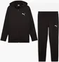 Спортивный костюм мужской Puma Evostripe Full-Zip Hoodie Black 681700-01__681702-01
