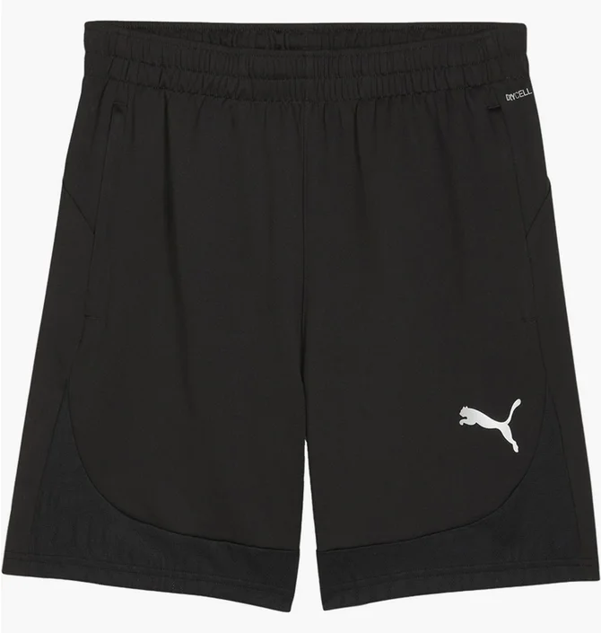 Шорты мужские Puma Teamfinal Training Shorts Black 658566-03
