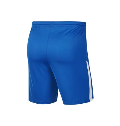 Шорты мужские Nike M Nk Df Lge Knit Ii Short Nb Blue Bv6852-463