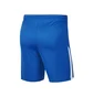 Шорты мужские Nike M Nk Df Lge Knit Ii Short Nb Blue Bv6852-463