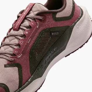 Кросівки жіночі Nike Pegasus 41 Gore Tex Bordo FQ1357-200