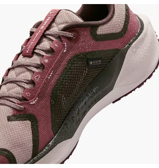 Кроссовки женские Nike Pegasus 41 Gore Tex Bordo FQ1357-200