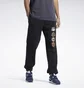 Штани чоловічі Reebok Street Fighter Black Hu1698