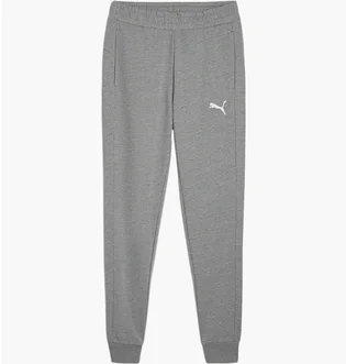 Штаны мужские Puma Teamgoal Casuals Grey 658598-33