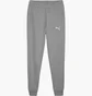 Штаны мужские Puma Teamgoal Casuals Grey 658598-33