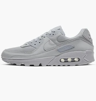 Кросівки чоловічі Nike Air Max 90 Grey CN8490-012