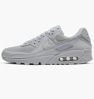 Кросівки чоловічі Nike Air Max 90 Grey CN8490-012