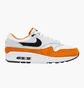 Кроссовки мужские Nike Air Max 1 Grey/Brown FN6952-101