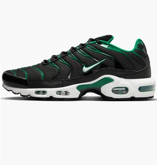 Кроссовки мужские Nike Air Max Plus Shoes Black DM0032-009
