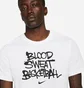 Футболка мужская Nike M Nk Df Bsb Verb Ss Tee White DN2982-100
