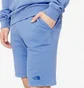 Шорты мужские The North Face Heritage Dye Pack Logowear Shorts Light Blue NF0A826MLV6