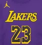 Свитшот мужской Air Jordan Nba Los Angeles Lakers Courtside Statement Edition Violet DN4718-508