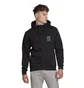 Толстовка мужская Adidas Sport Icon Fz Hoodie Black GD5807