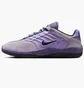 Кроссовки мужские Nike Sb Vertebrae Violet FD4691-501