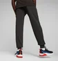 Штаны мужские Puma Bmw M Rsport Ess Black 621302-01
