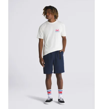 Шорты мужские Vans Range Nylon Loose 20 Shorts Blue VN000G6VLKZ