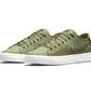 Кроссовки унисекс Nike Sb Blzr Court D V D L Skate Shoes Olive CZ5605-300