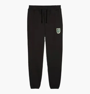 Штани чоловічі Puma Sports Legacy Graphic Black 629631-01