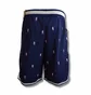 Шорты мужские Nike Db8429419 Blue DB8429-419