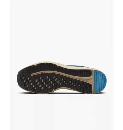 Кроссовки мужские Nike Downshifter 12 Next Nature Black DD9293-008