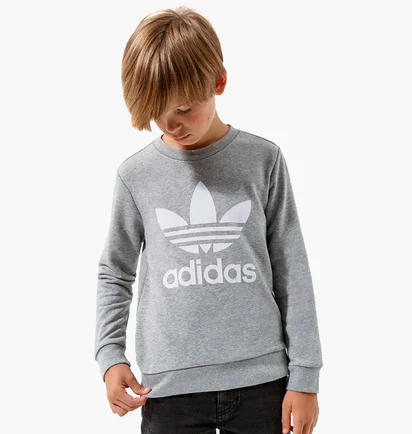 Свитшот детский Adidas Trefoil Crew B Grey GD2709