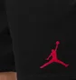 Шорты мужские Air Jordan Jumpman Fleece Black IR0335-010