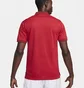 Поло мужское Nike Polo Dri-Fit The Polo Red FD5398-677