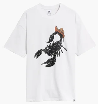 Футболка мужская Nike Acg Scorpion White HV1290-121