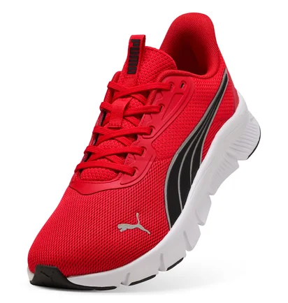 Кроссовки мужские Puma Flexfocus Lite Modern Red 310093-37