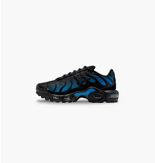 Кроссовки детские Nike Air Max Plus Black/Blue CD0609-051
